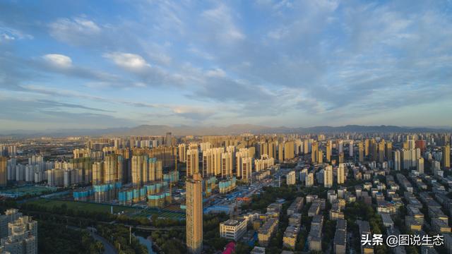 看石家庄绿化这四年变化真的不小