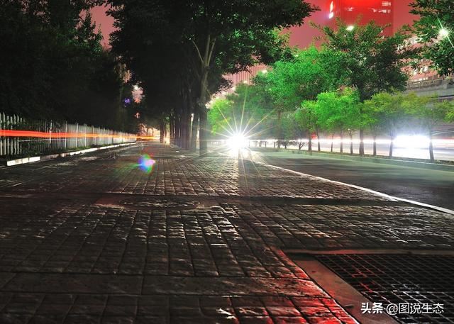 看石家庄绿化这四年变化真的不小