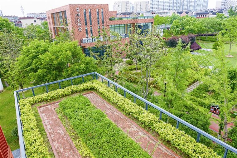 墙体绿化、屋顶绿化、廊架绿化等立体绿化越来越多丨靖江“空中绿地”美起来