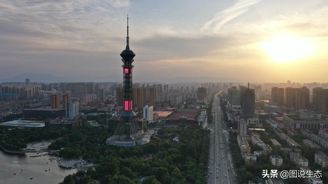 看石家庄绿化这四年变化真的不小