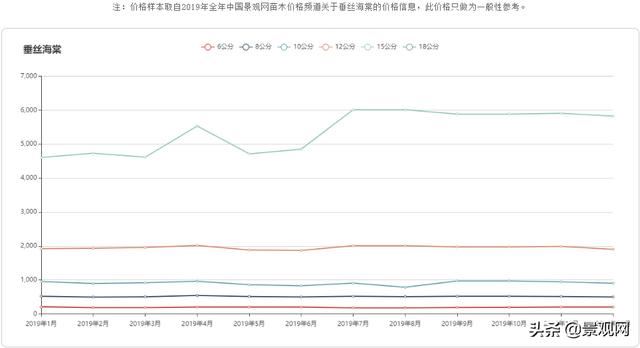 垂丝海棠，海棠四品之一，应用前景怎么样？
