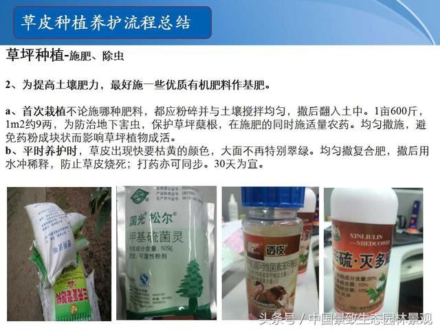 园林绿化景观草皮种植总结篇