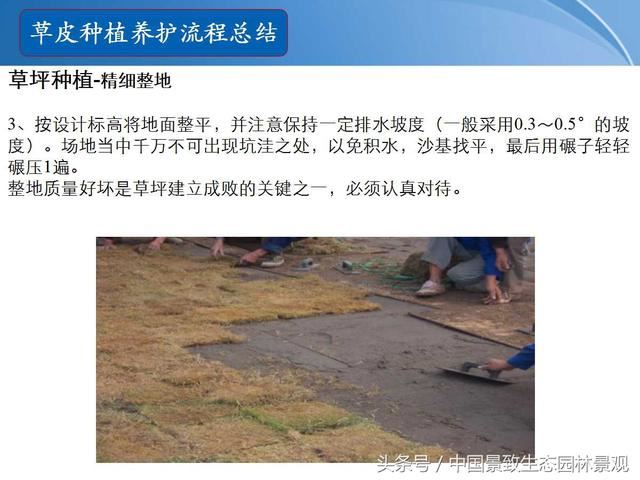 园林绿化景观草皮种植总结篇
