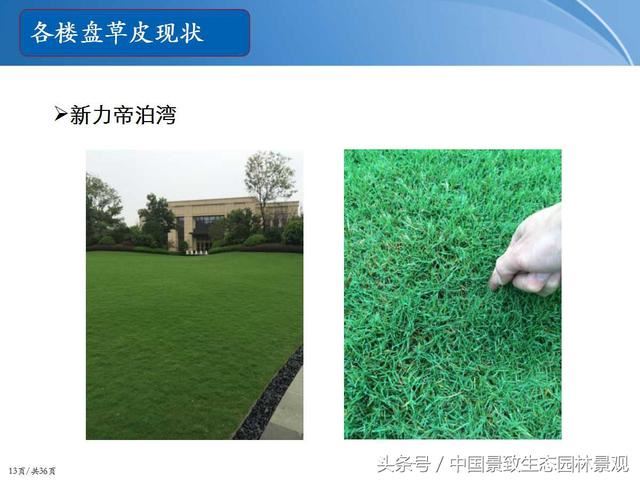 园林绿化景观草皮种植总结篇