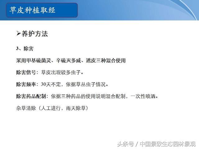 园林绿化景观草皮种植总结篇