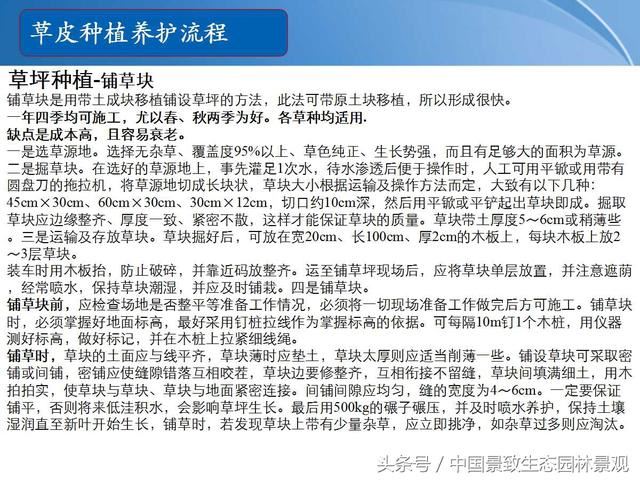 园林绿化景观草皮种植总结篇