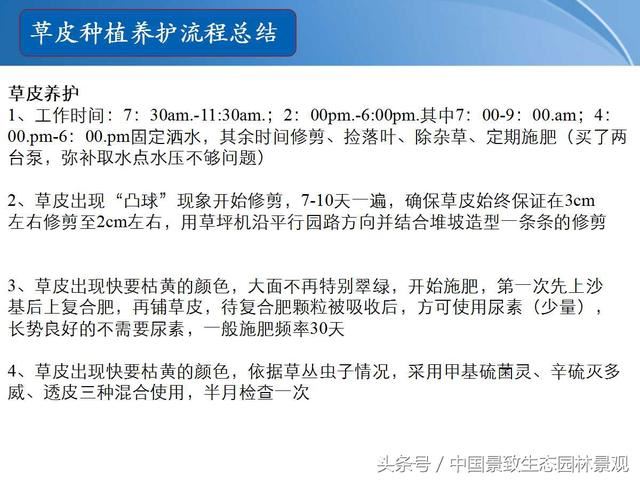 园林绿化景观草皮种植总结篇