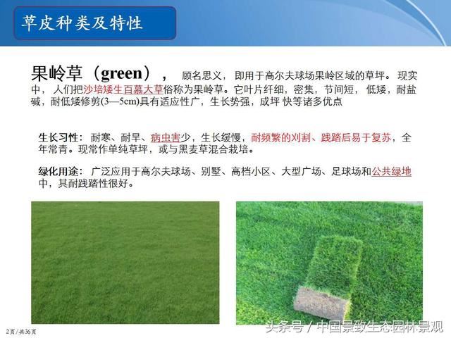 园林绿化景观草皮种植总结篇