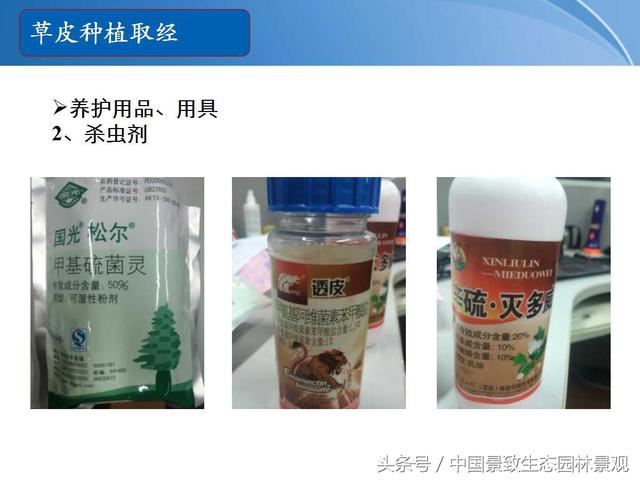 园林绿化景观草皮种植总结篇