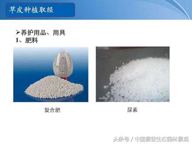 园林绿化景观草皮种植总结篇