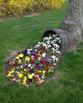 花钵——庭院花园里移动的花境！
