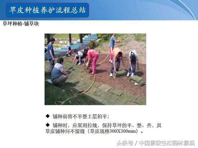 园林绿化景观草皮种植总结篇