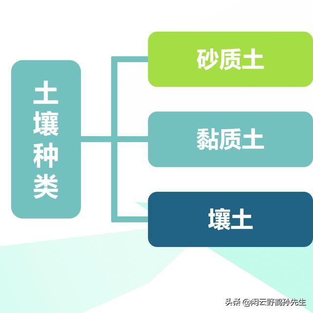 不再把花养死的3项基础知识，浇水、土壤、光照的相关经验分享