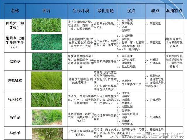 园林绿化景观草皮种植总结篇