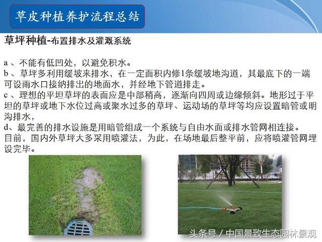 园林绿化景观草皮种植总结篇