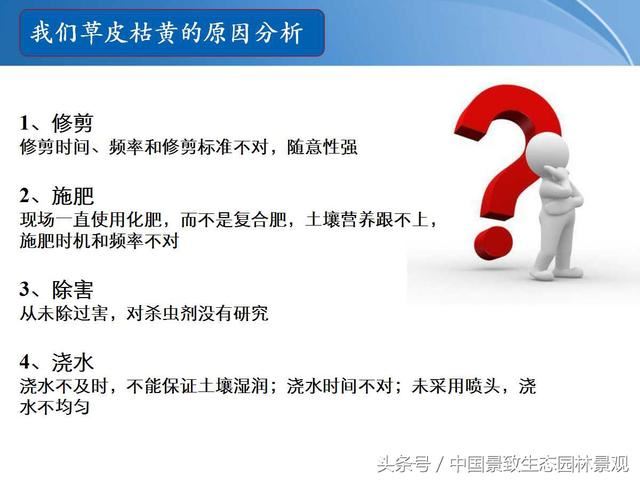 园林绿化景观草皮种植总结篇