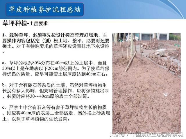 园林绿化景观草皮种植总结篇