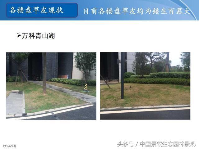 园林绿化景观草皮种植总结篇
