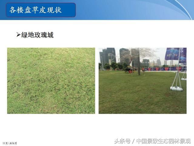 园林绿化景观草皮种植总结篇