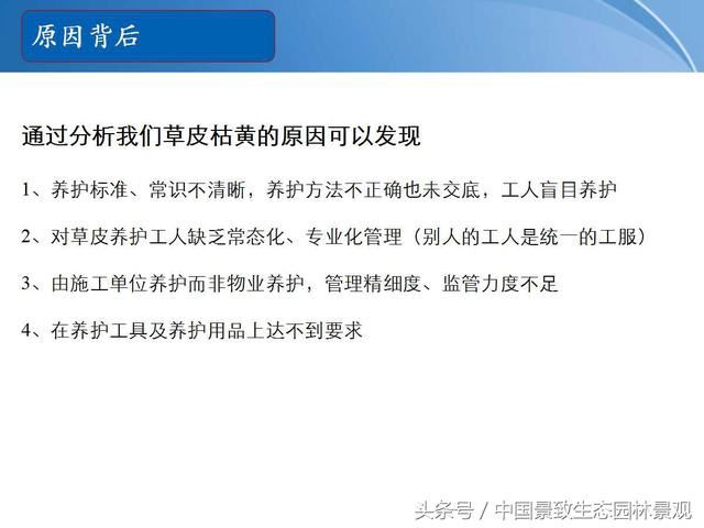 园林绿化景观草皮种植总结篇