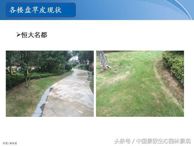园林绿化景观草皮种植总结篇