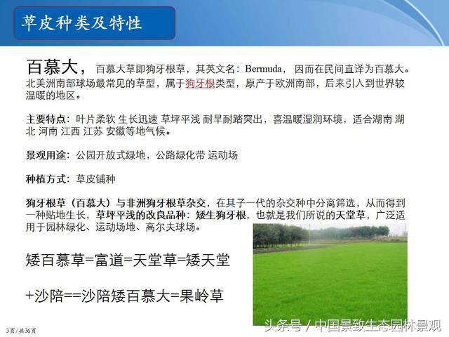 园林绿化景观草皮种植总结篇
