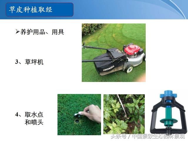 园林绿化景观草皮种植总结篇