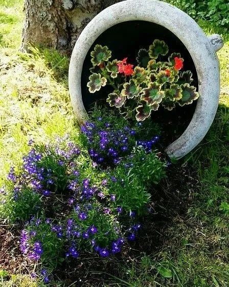 花钵——庭院花园里移动的花境！