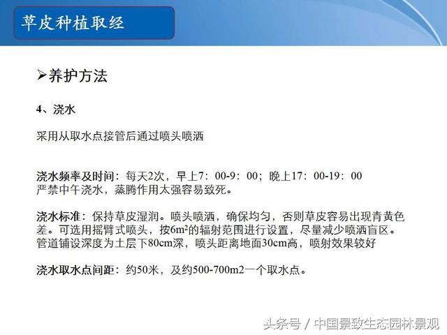 园林绿化景观草皮种植总结篇