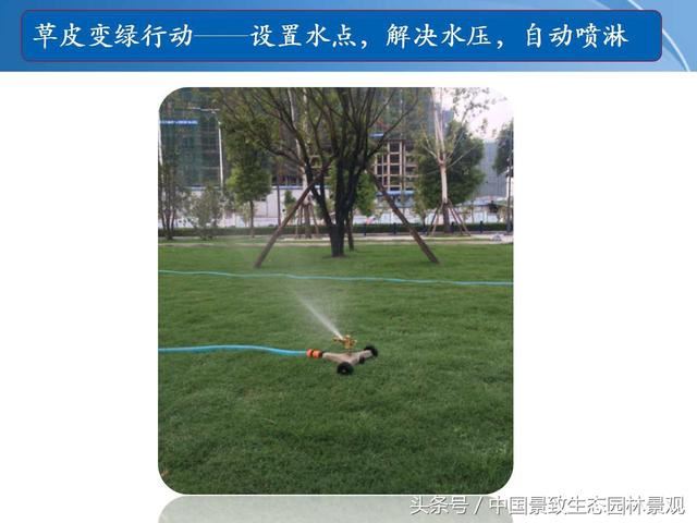 园林绿化景观草皮种植总结篇