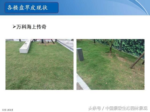 园林绿化景观草皮种植总结篇