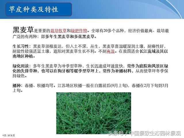 园林绿化景观草皮种植总结篇