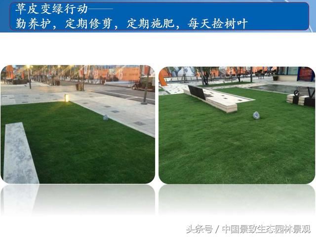 园林绿化景观草皮种植总结篇
