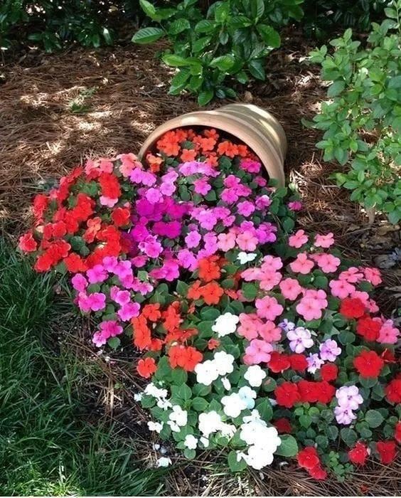 花钵——庭院花园里移动的花境！