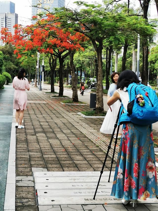 深圳的道路绿化究竟有多牛？来看看这条城市道路有多美