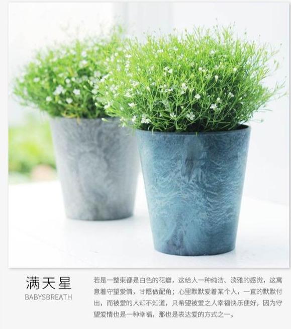 从一粒种子，到一个满天星花球，新手实战全攻略