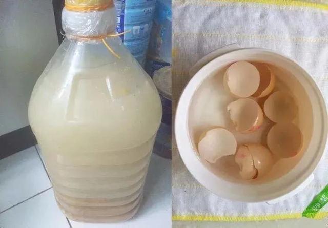 家里的花不爱开花、开花少？喂上几次“催花水”，花儿蹭蹭开爆盆