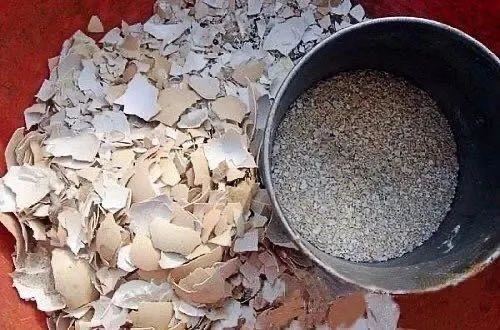 家里的花不爱开花、开花少？喂上几次“催花水”，花儿蹭蹭开爆盆