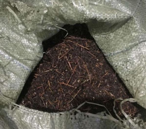 野外挖点腐叶土，都是养花的大肥土，啥花吃了都爆盆！