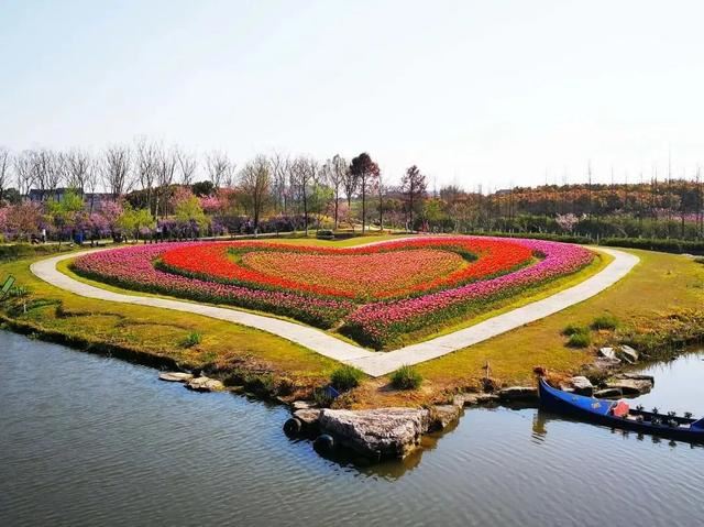 800亩花海最美赏花期来袭——周浦花海