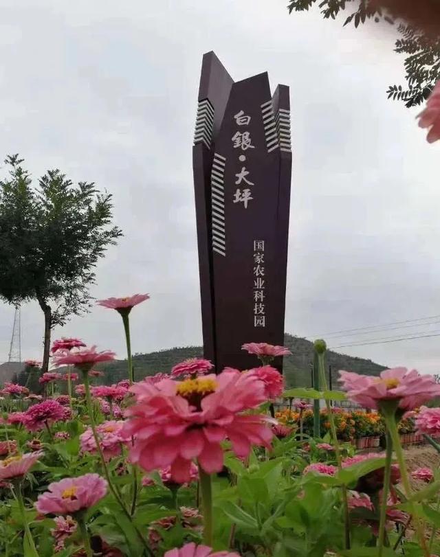六月六•大坪凤园花海开园啦！