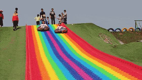 800亩花海最美赏花期来袭——周浦花海