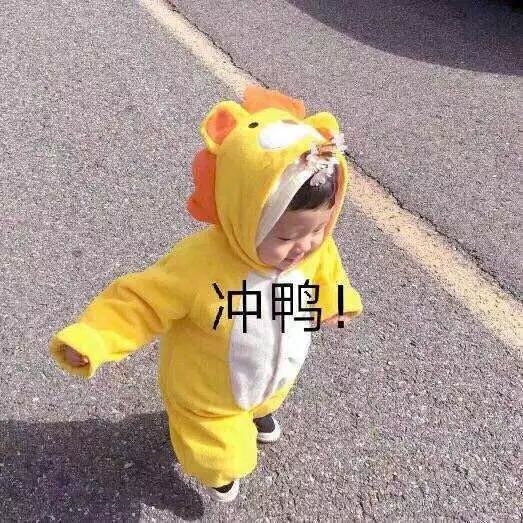 六月六•大坪凤园花海开园啦！