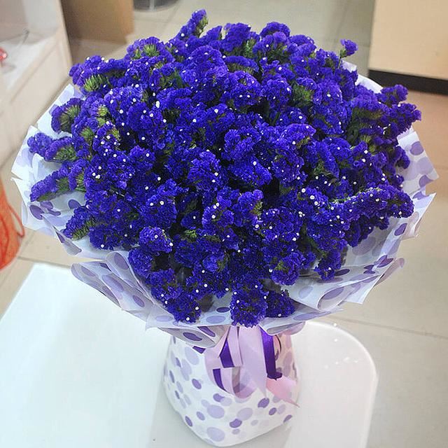“勿忘我”养护，做对这7点，株型优雅多姿，花色光泽鲜艳