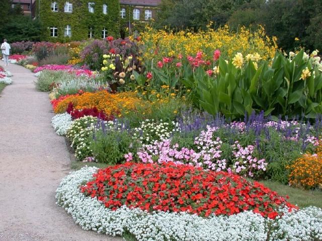 花镜景观因为观赏性强已经广泛纳入园林绿化设计中,所以在设计花镜时