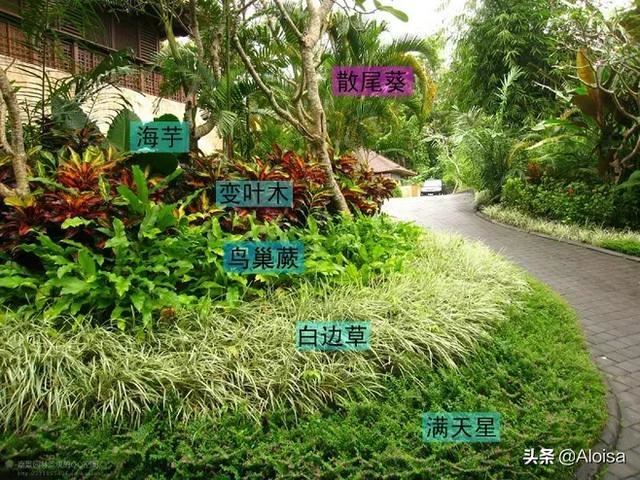 自然野趣，以植物营造景观空间