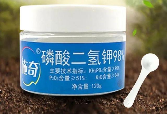 浇水兑磷钾肥，黄叶全消失，开花越来越多