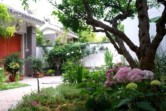 寻一方小院，建一处花园，养花喝茶一辈子