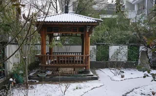 寻一方小院，建一处花园，养花喝茶一辈子