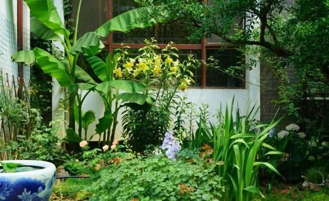 寻一方小院，建一处花园，养花喝茶一辈子